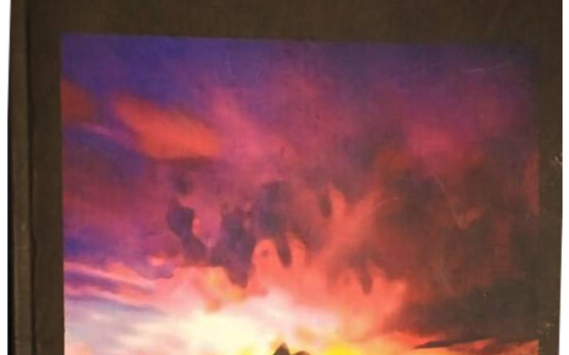 पुस्तक समिक्षा : क्यान्भास्को छितिज