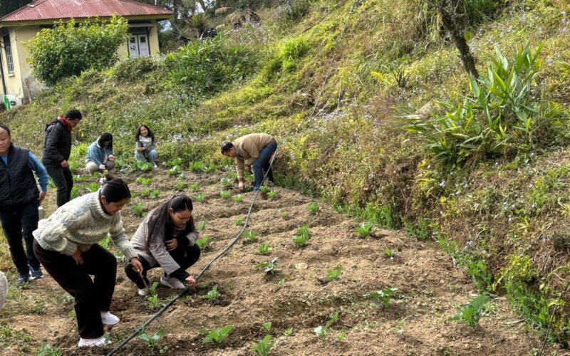 Friday Field/Farm Day Episode 21 Achieves Unprecedented Success