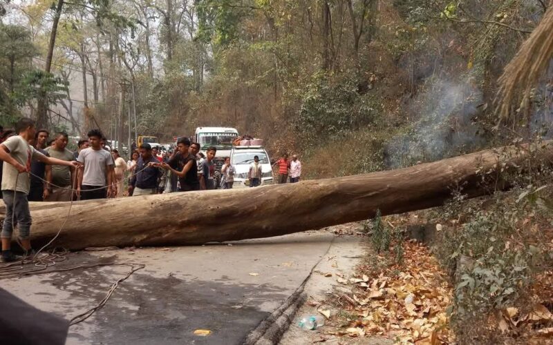 राष्ट्रिय राजमार्ग 10 को लेप्चा झोडा छेउमा सडक बिचमा रुख ढाल्दा वाहन दुर्घटना, यात्रुहरु घाइते।