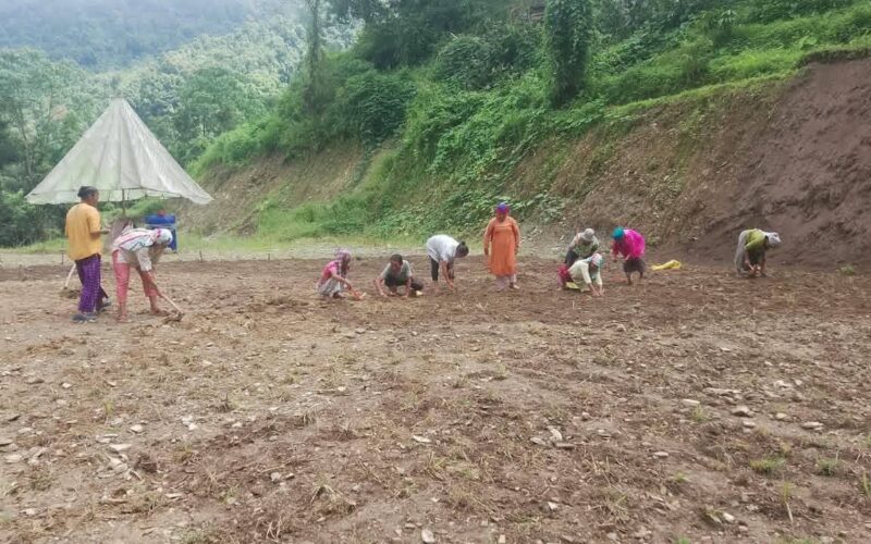 Friday Field Day Mission Marks 50th Episode in Pakyong