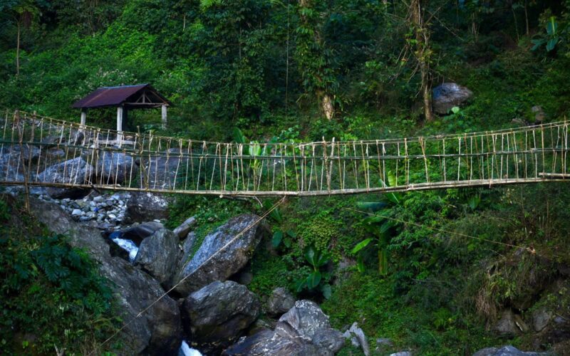 Celebrating the Lepcha Cane Bridge “Ru-Soam” — A Living Symbol of Indigenous Engineering