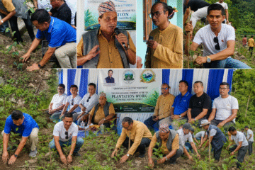 Mass Tea Plantation Drive Strengthens Green Vision and Rural Livelihoods in Rhenock Constituency
